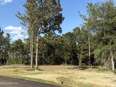 /international/us/sunfish-lane-lot-3-lucedale-ms-110102119102/