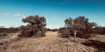 /international/us/320-turkey-run-road-lot-28-eldorado-tx-110105047504/