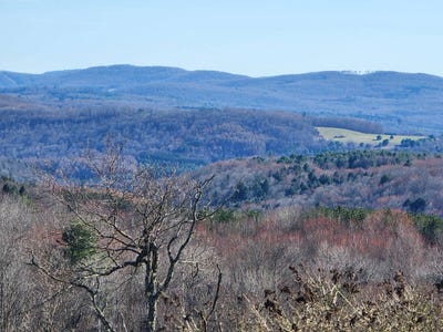 /international/us/l2-lang-road-summit-ny-110100569667/