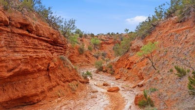 /international/us/1245-county-road-349-rotan-tx-110108357646/