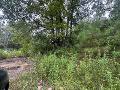 /international/us/204-county-road-3055-double-springs-al-110101398422/?lang=zh-tw