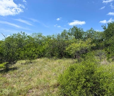 /international/us/county-road-334-lot-12-beeville-tx-110108415924/