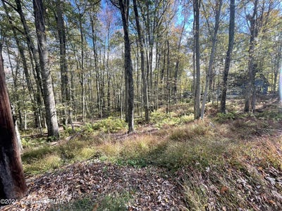 /international/us/mountain-ash-lane-white-haven-pa-110095396535/