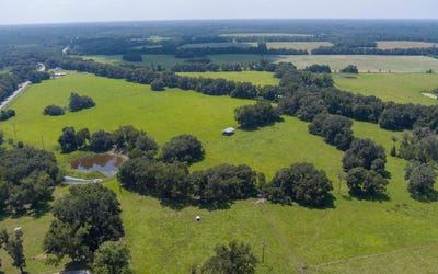 /international/us/nw-us-hwy-129-jasper-fl-110086698380/