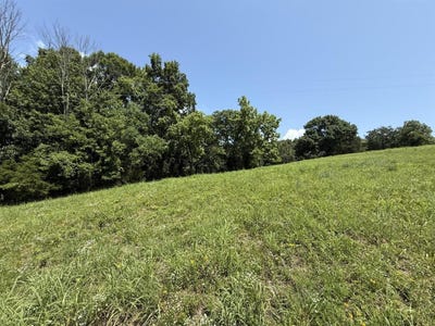 /international/us/gainesville-port-oliver-road-lot-4d-scottsville-ky-110120089769/