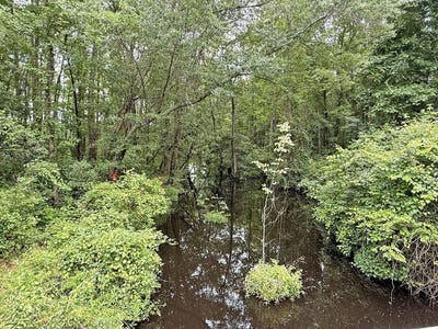 /international/us/willamette-rd-bennettsville-sc-110110046963/
