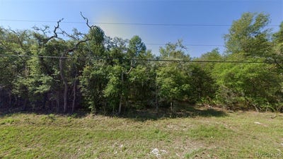 /international/us/1222-e-la-salle-street-hernando-fl-110101164811/?lang=en