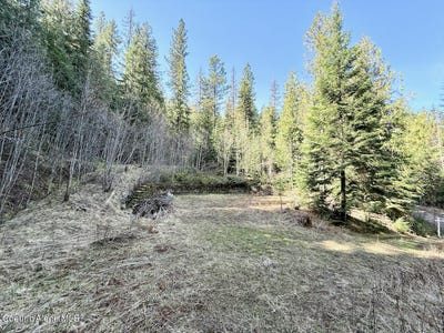 /international/us/498-revenue-gulch-rd-silverton-id-110098775344/