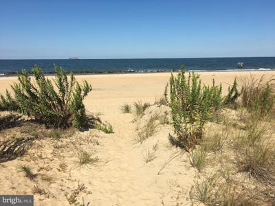 /international/us/914-w-ocean-view-avenue-norfolk-va-110108015559/