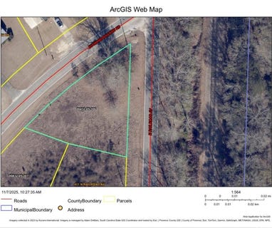 /international/us/112-diamond-branch-rd-johnsonville-sc-110103372521/