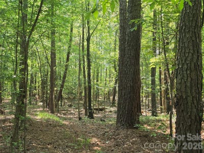 /international/us/hoke-road-heath-springs-sc-110100426838/