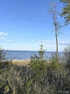 /international/us/tbd-lot-2-m-35-highway-menominee-mi-110108199021/