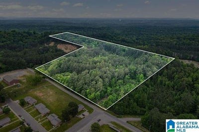 /international/us/1900-kentucky-street-lot-1-leeds-al-110105778112/