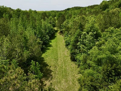 /international/us/0-county-road-12-millport-al-110107658551/