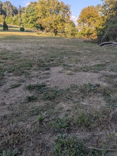 /international/us/2616-rabbit-flat-road-caneyville-ky-110110085075/