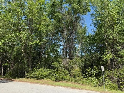 /international/us/0-haseldon-drive-manning-sc-110098596627/?lang=zh-cn