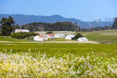 /international/us/21601-s-highway-1-point-arena-ca-110101873348/