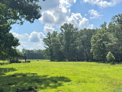 /international/us/124-acres-county-road-170-moulton-al-110100418835/