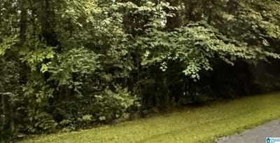 /international/us/canal-street-lot-28-childersburg-al-110104340910/