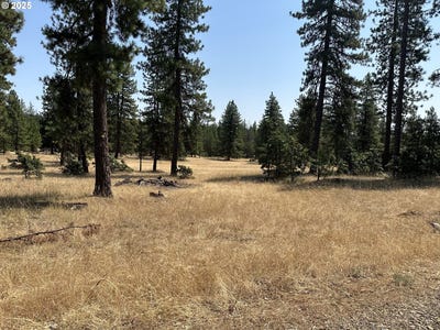 /international/us/13-greyback-mtn-rd-goldendale-wa-110102680164/