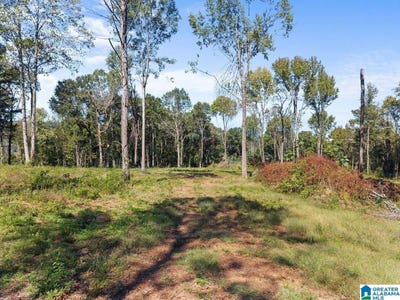 /international/us/-5-a-street-lot-5-oneonta-al-110120627331/