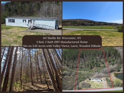 /international/us/147-skellie-road-worcester-ny-110107797808/