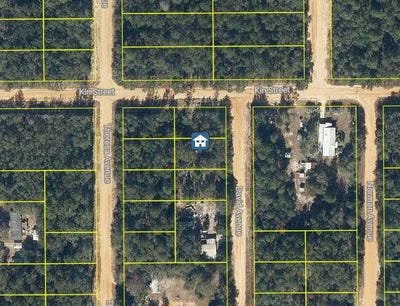 /international/us/lot-31-david-avenue-interlachen-fl-110097536447/