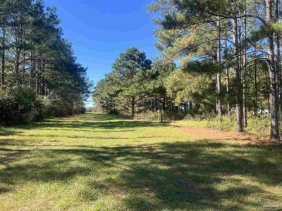 /international/us/4900-block-hwy-97-walnut-hill-fl-110103382002/