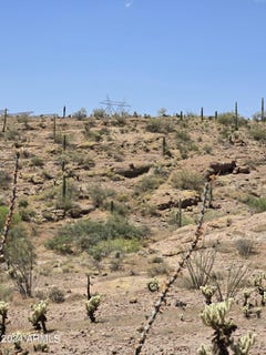 /international/us/74-n-elephant-butte-road-queen-valley-az-110095432033/?lang=zh-tw