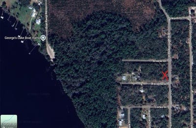 /international/us/biscayne-drive-florahome-fl-110105088368/