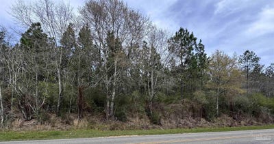 /international/us/butler-st-atmore-al-110107440267/