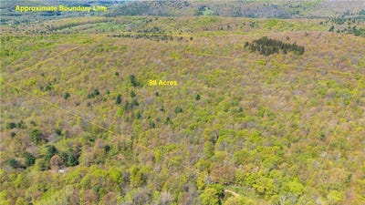 /international/us/sanly-road-franklin-ny-110099521673/?lang=zh-tw