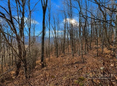 /international/us/wakeman-way-banner-elk-nc-110108267718/