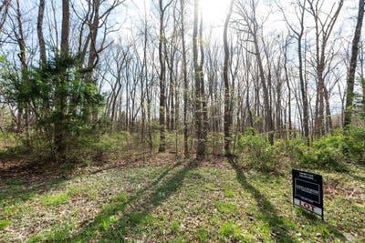 /international/us/lot-16-lake-dr-crimora-va-110107007417/