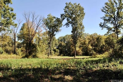 /international/us/forest-road-y09-perryville-ar-110107882300/