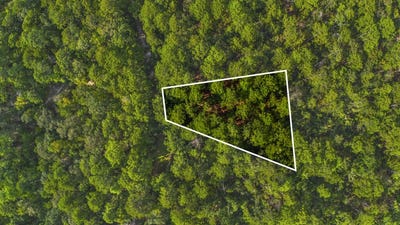/international/us/sassafras-lot-196-brookeland-tx-110110277465/