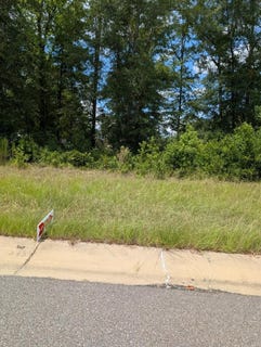 /international/us/338-grand-harbor-circle-dothan-al-110100950997/?lang=zh-cn