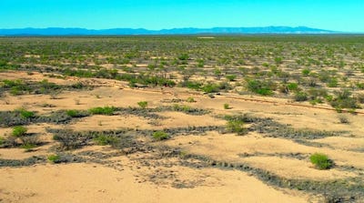 /international/us/county-rd-124-pecos-tx-110096263090/