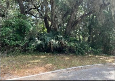 /international/us/00-wagner-lane-st-marys-ga-110100939240/?lang=zh-tw