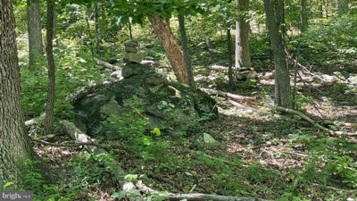 /international/us/28-b-falconwood-bloomery-wv-110108448515/
