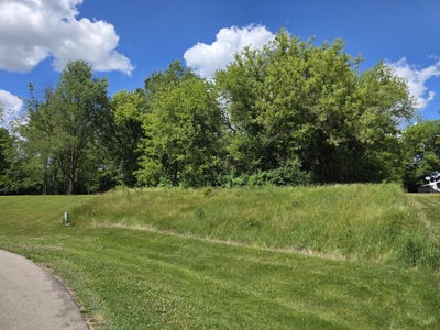 /international/us/lot-19-burning-tree-lane-jackson-mi-110108814624/