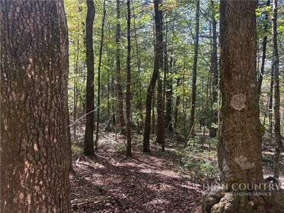 /international/us/eagles-nest-lane-lot-24-glade-valley-nc-110104850760/