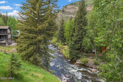 /international/us/2923-bellflower-vail-co-110108586672/?lang=it