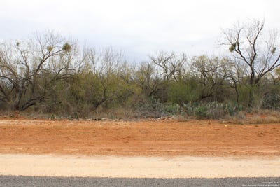 /international/us/3435-county-road-main-street-pearsall-tx-110105906246/