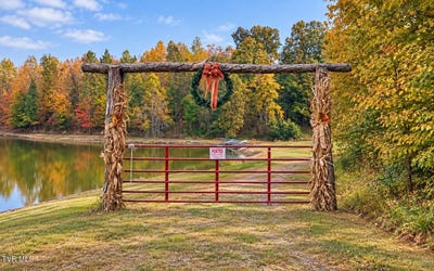 /international/us/williams-road-rogersville-tn-110120613423/