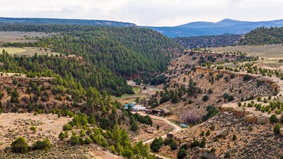 /international/us/955-county-road-303-cebolla-nm-110103173852/