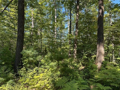 /international/us/0-e-wilderness-court-barnes-wi-110100519021/?lang=zh-tw