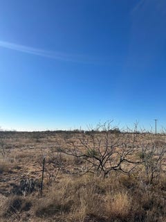 /international/us/ponderosa-dr-snyder-tx-110104306060/