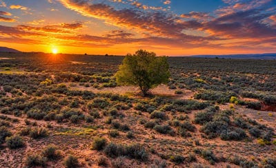 /international/us/off-blue-sage-road-ranchos-de-taos-nm-110120584732/