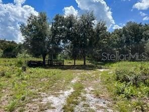 /international/us/laurel-oak-avenue-mims-fl-110119419677/